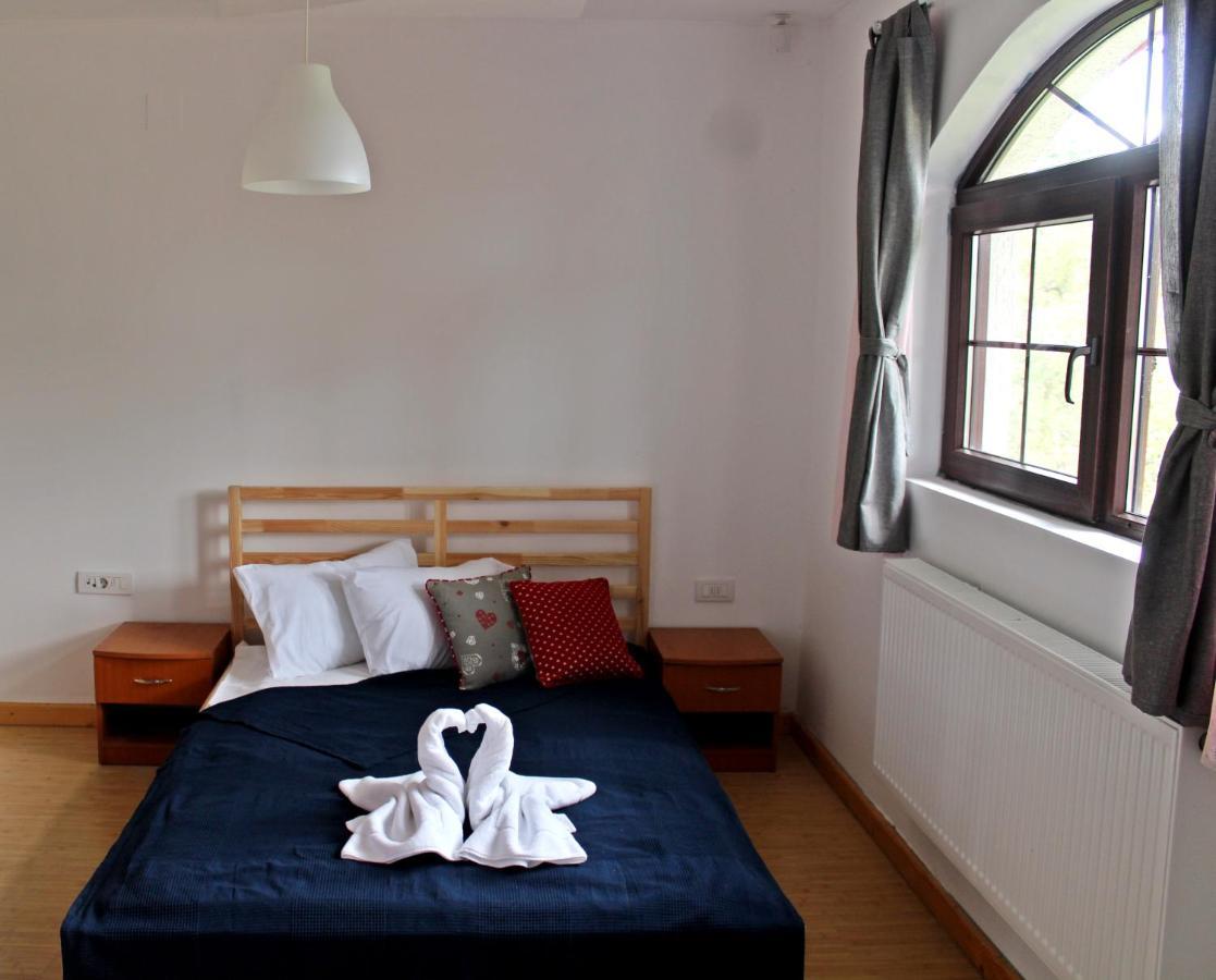 Hotel Anuta à Breaza  Extérieur photo