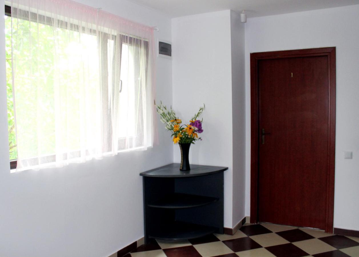 Hotel Anuta à Breaza  Extérieur photo